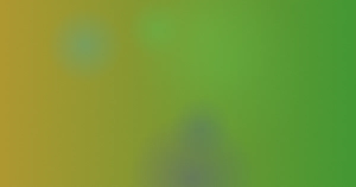 一级黄色网络对比：案例复盘